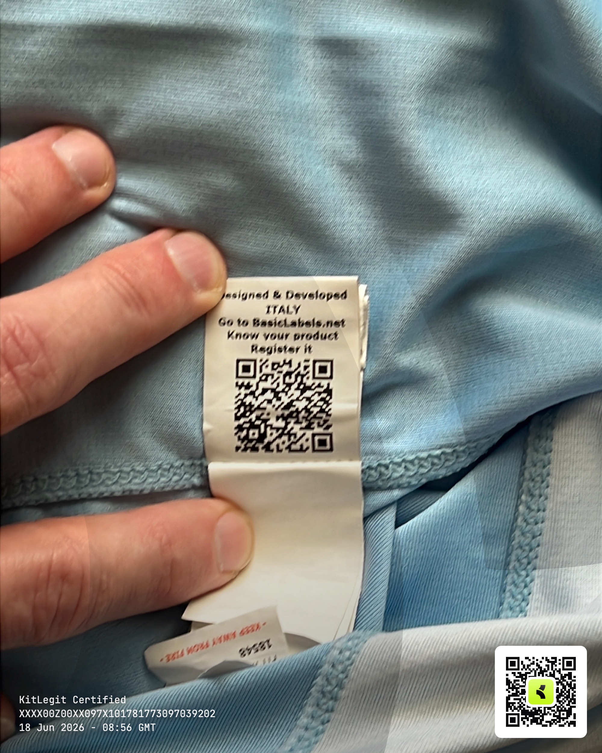 BasicLabels tag