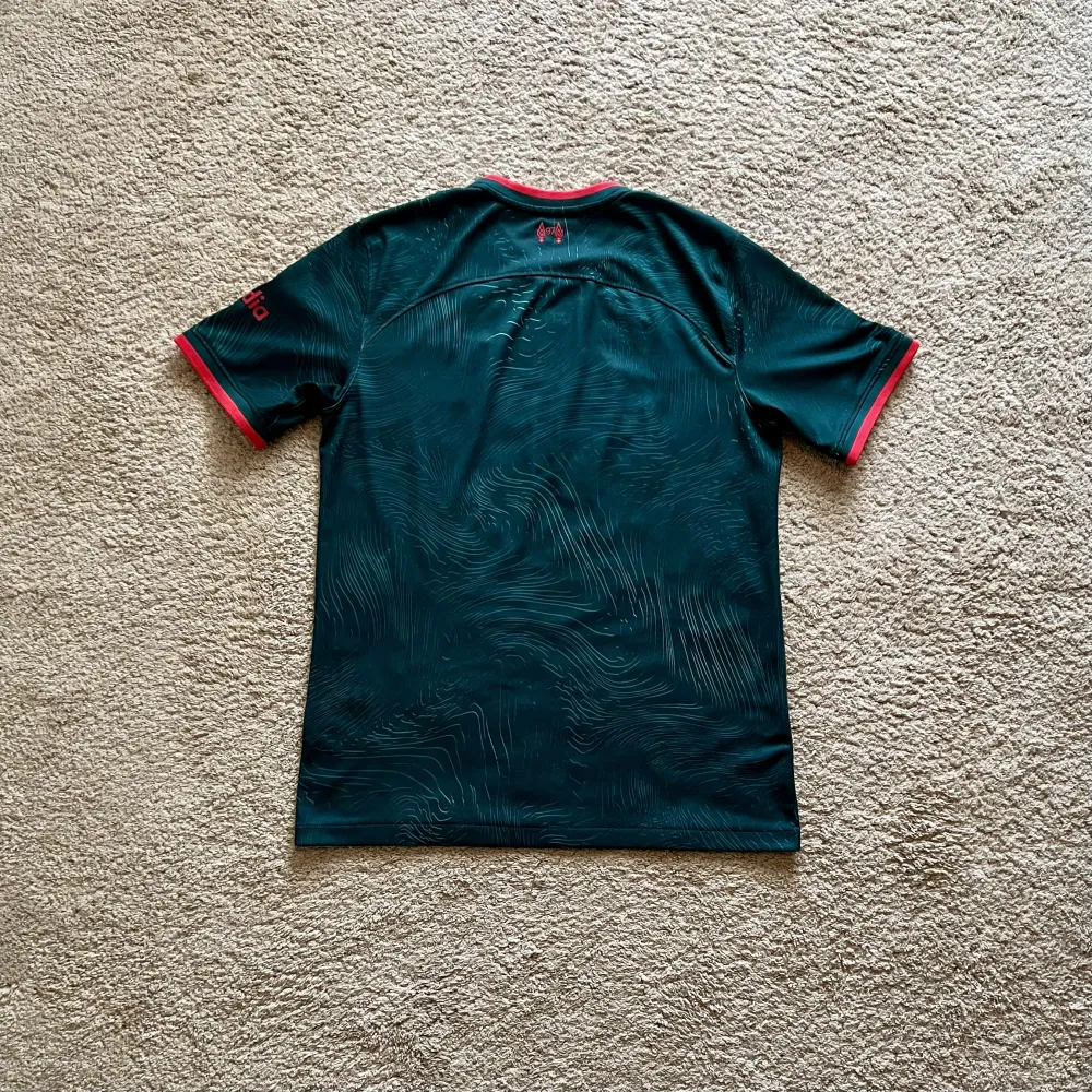 Rear of shirt