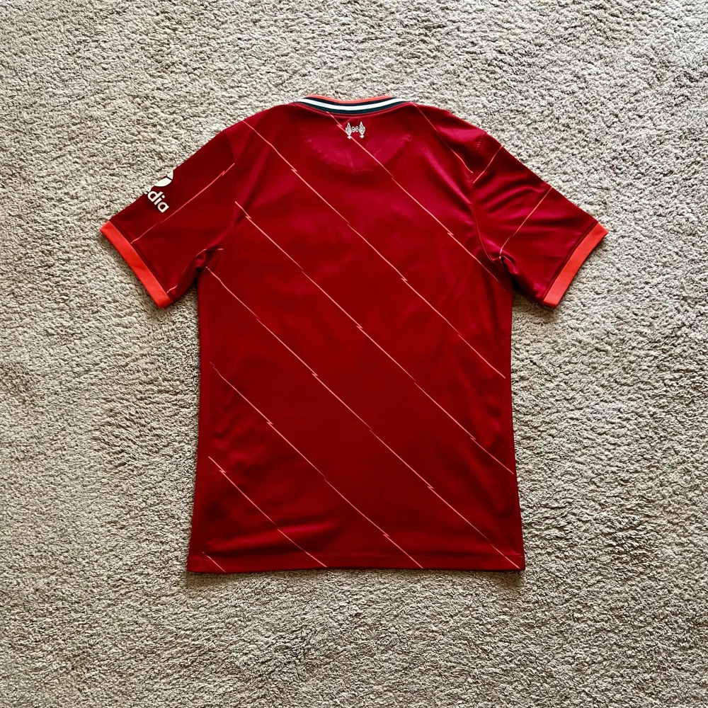 Rear of shirt